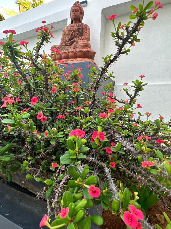 Buddha Beach Hotel 코발람비치 외부 사진