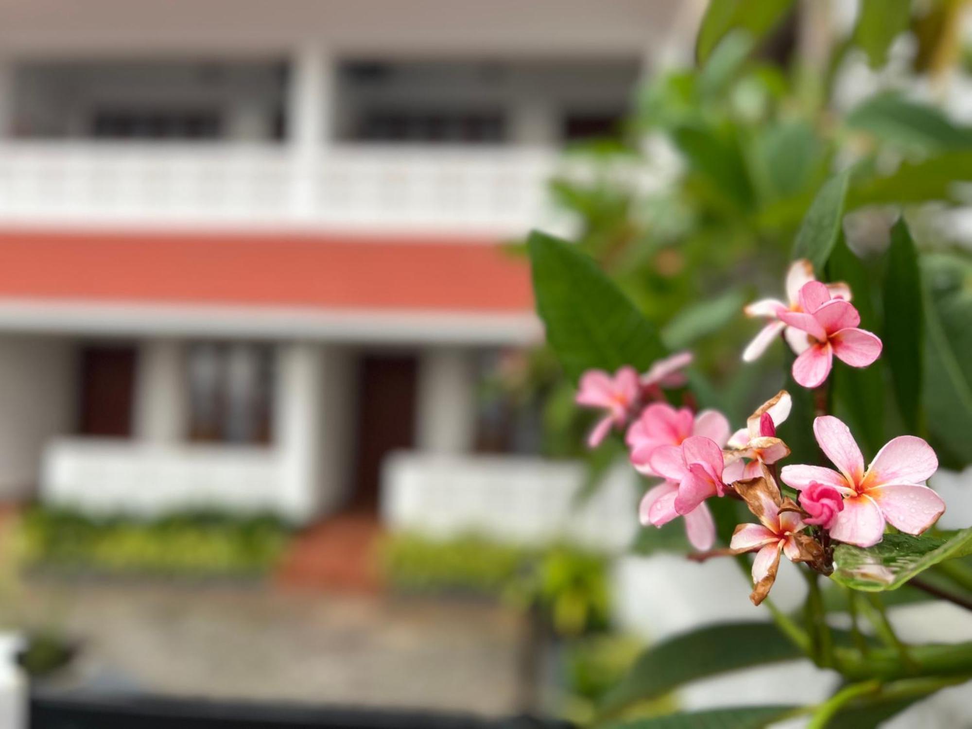 Buddha Beach Hotel 코발람비치 외부 사진